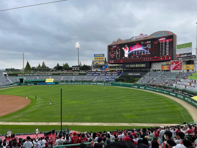 Sports LED ScreenY31