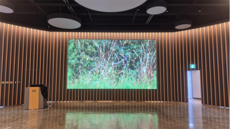 HD LED Video Wall COB GOB P0.9 P1.25 P1.56 P1.87 Hard Connection Indoor LED Displayv56